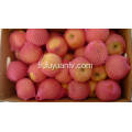 Pomme Qinguan fraîche de haute qualité